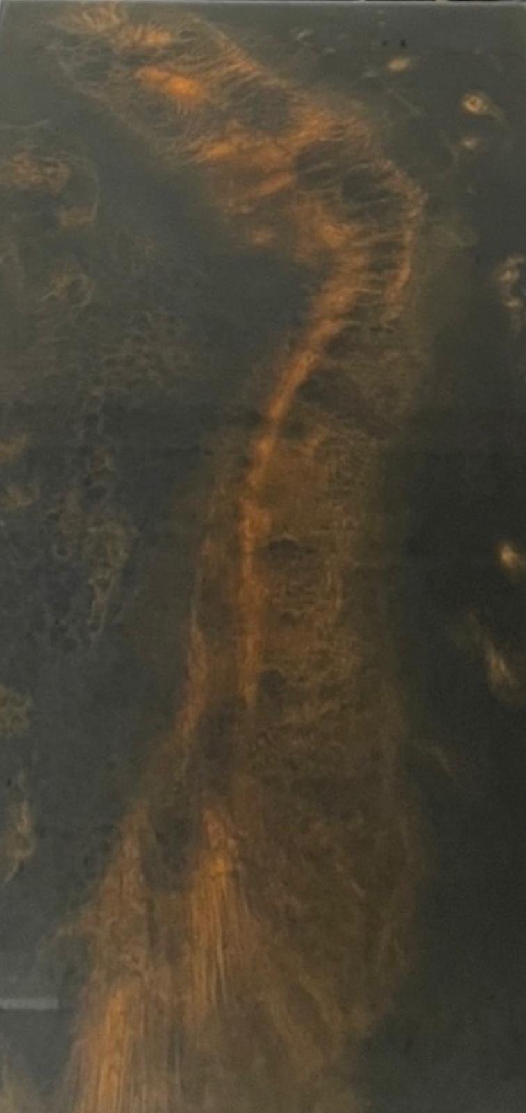 Underwater aerial view of a winding river with golden-brown sediment patterns flowing through dark terrain and forested areas