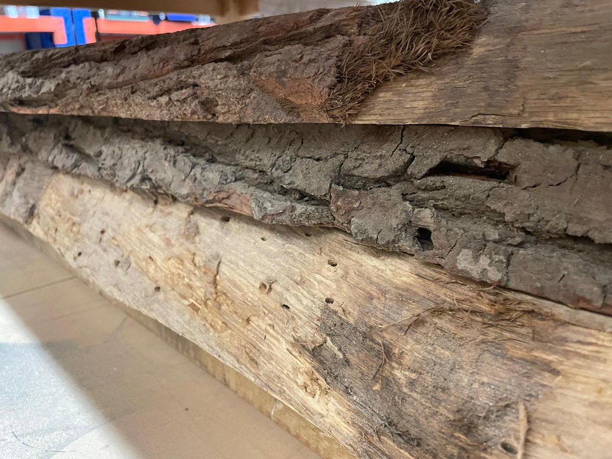 Stacked wooden planks and logs showing various stages of decay and weathering, with bark and moss visible on the surfaces